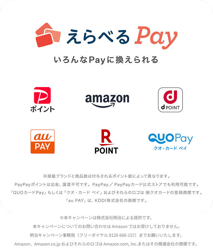 えらべるPay3,000ポイント